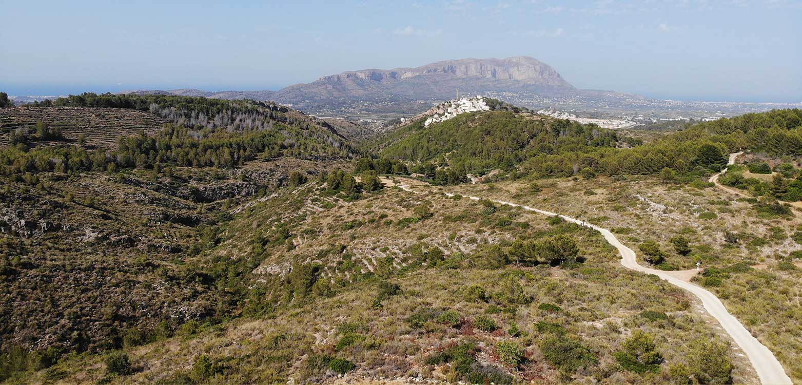 Montgo